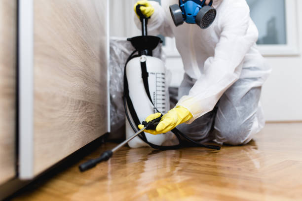 Best Local Pest Control Services  in Jensen Beach, FL