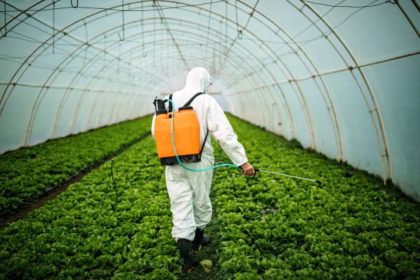 Best Pest Control Near Me  in Jensen Beach, FL