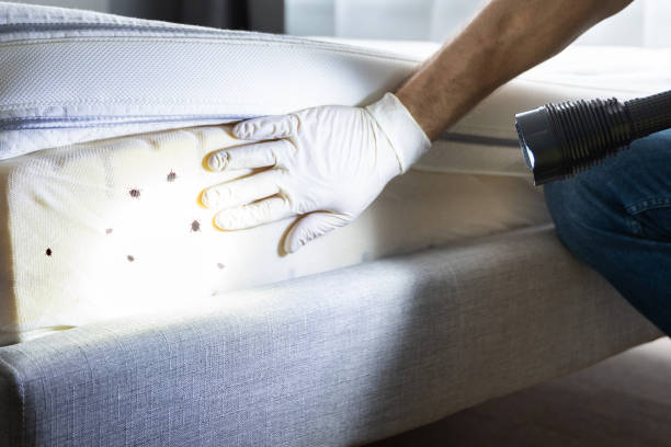 Best Cockroach Control Services  in Jensen Beach, FL