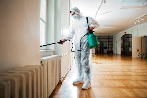 Best Ant Control Services  in Jensen Beach, FL