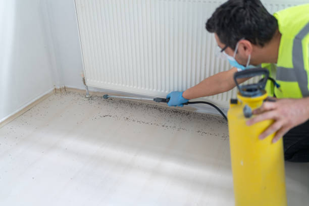 Best Emergency Pest Control  in Jensen Beach, FL