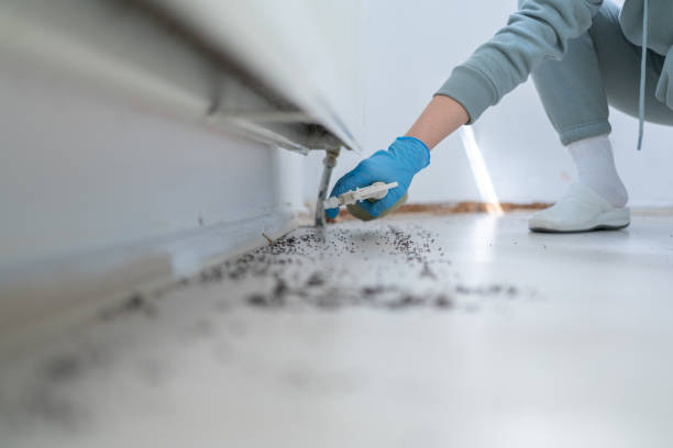 Best Pest Prevention Services  in Jensen Beach, FL